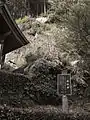 熊埜神社