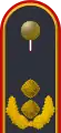 Jacke Dienstanzug Luftwaffenuniformträger General