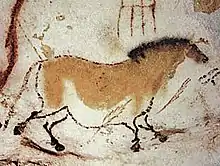 クロマニョン人によって描かれたラスコー洞窟の壁画（1万5,000年前）