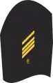 Ärmelabzeichen Dienstanzug Marineuniformträger 20er Verwendungsreihen