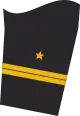 Ärmelabzeichen Dienstanzug Marineuniformträger (Truppendienst oder militärfachlicher Dienst)