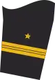 Ärmelabzeichen Dienstanzug Marineuniformträger (Truppendienst oder militärfachlicher Dienst)