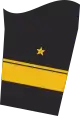 Ärmelabzeichen Dienstanzug Marineuniformträger  (Truppendienst)