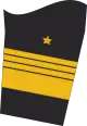 Ärmelabzeichen Dienstanzug Marineuniformträger (Truppendienst)