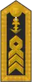 Schulterklappe Dienstanzug Marineuniformträger 20er Verwendungsreihen