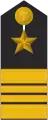 Schulterklappe Dienstanzug Marineuniformträger (militärfachlicher Dienst)