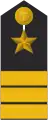 Schulterklappe Dienstanzug Marineuniformträger (Truppendienst)