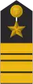 Schulterklappe Dienstanzug Marineuniformträger (Truppendienst)