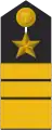 Schulterklappe Dienstanzug Marineuniformträger (Truppendienst)