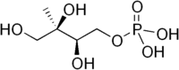 2-C-メチルエリトリトール-4-リン酸