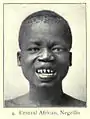 Central African man, Pygmy type