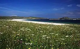 ルイス島のマッハ（Machair）