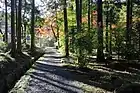 八幡神社東参道（2019年（令和元年）11月）