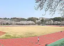 陸上競技場