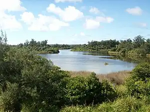 南大東島・大池