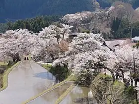 三多気（三重県津市）