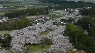 母智丘・関之尾県立自然公園（宮崎県都城市）