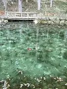 モネの池にかかる橋