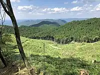 本宮山の登山道