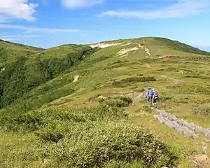 太郎山と薬師峠方面から太郎平小屋へ向かう登山道の木道（2015年8月8日）