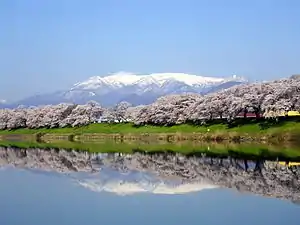 船岡城址公園・白石川堤（宮城県大河原町・柴田町）