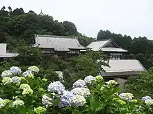 麻綿原高原・妙法生寺（あじさい寺）