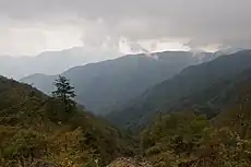 天王寺尾根から見た長尾尾根