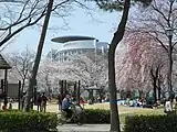 志賀公園の桜と西部医療センター