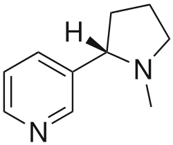 ニコチン