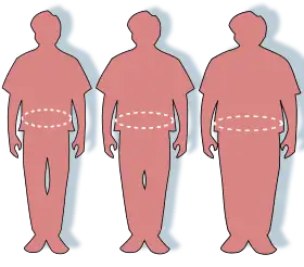 Three silhouettes depicting the outlines of a normal sized (left), overweight (middle), and obese person (right).