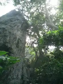 沖ノ島の祭祀遺跡がある磐座