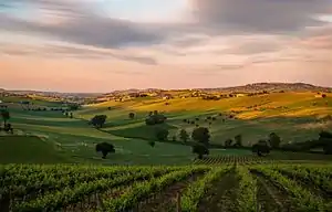 モンテ・ロベルトの風景