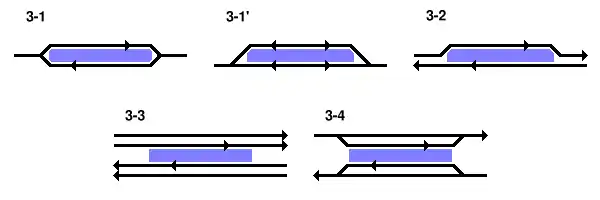 島式ホームの図