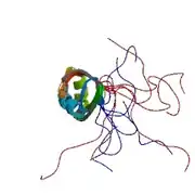 ASF/SF2の2番目のRRMドメインのNMR構造 PDB: 2O3D​