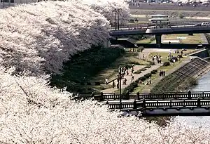 足羽川・足羽山公園（福井県福井市）