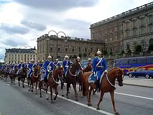 スウェーデン王室近衛兵