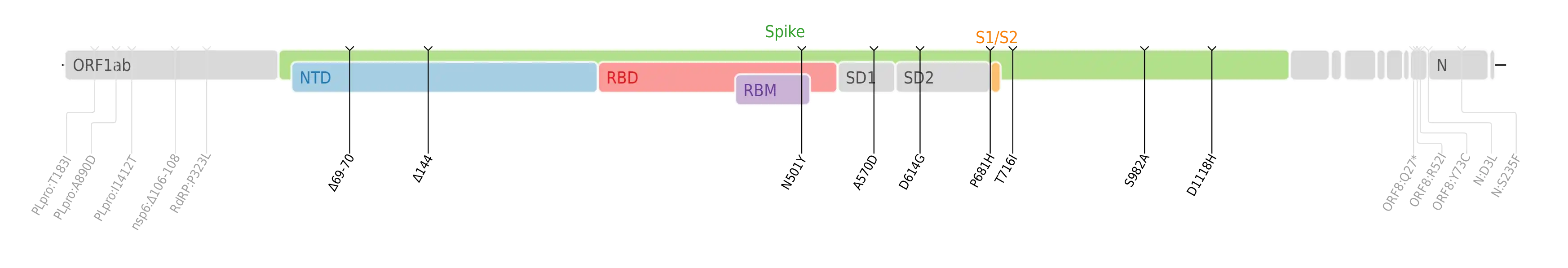 スパイクタンパク質に焦点を当てたSARS-CoV-2のゲノムマップ上にプロットされたアルファ株のアミノ酸変異。