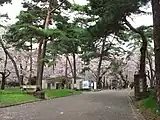 大宮公園（埼玉県さいたま市）