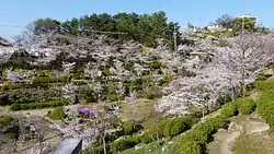 千光寺公園（広島県尾道市）