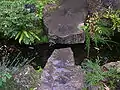 日本庭園の飛び石（Stepping stones）