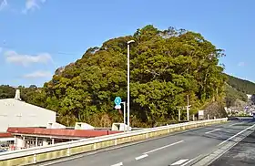 全景左手前の保育園（赤屋根）一帯に伊賀氏（宿毛山内氏）邸が所在した。