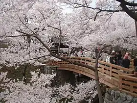 高遠城址公園（長野県伊那市）