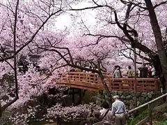 高遠城（伊那市）