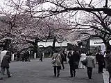 田安門と桜（2009年3月撮影）