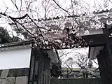 田安門と桜（2009年3月撮影）