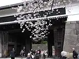 田安門（櫓門）と桜（2009年3月撮影）