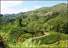 Scenery seen from hill-country Badulla-Colombo railway line