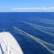 Trichodesmium bloom off Great Barrier Reef.