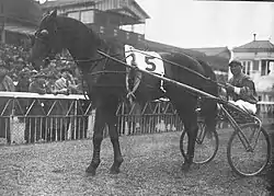 1933年（昭和8年）目黒競馬場のトロッター。 目黒競馬場では普通の競馬に加え、1915年（大正4年）から障害競走、26(大正15)年から繋駕速歩競走も行われていた。