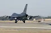 陸上基地でアレスティング・フックを使用し着陸したF-16